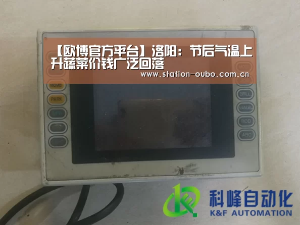 【欧博官方平台】洛阳:节后气温上升蔬菜价钱广泛回落(图1) 欧博官方平台