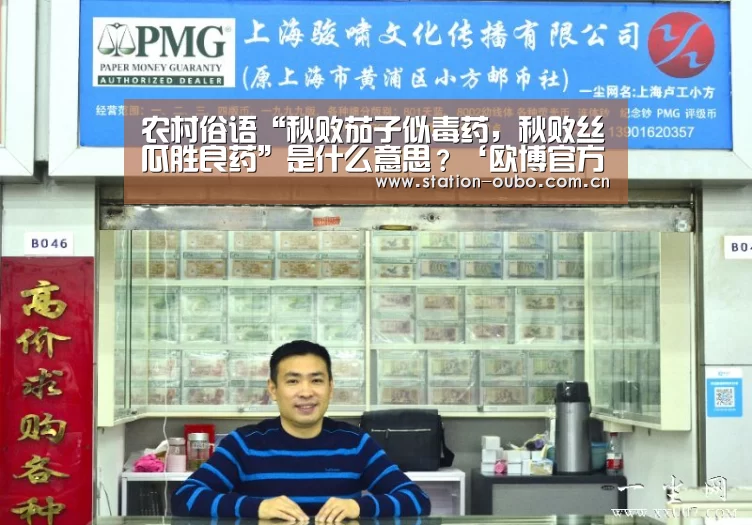 农村俗语“秋败茄子似毒药,秋败丝瓜胜良药”是什么意思?‘欧博官方平台’(图2) 欧博官方平台