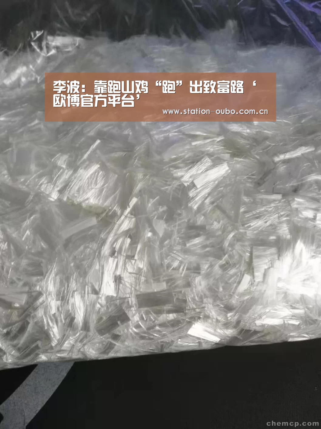 欧博官网