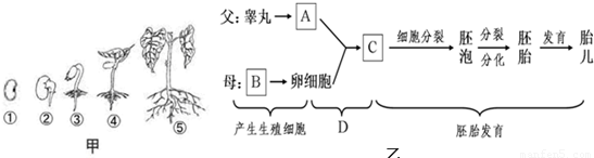 欧博登录app