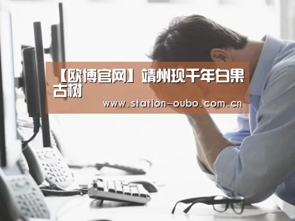【欧博官网】靖州现千年白果古树(图2) 欧博