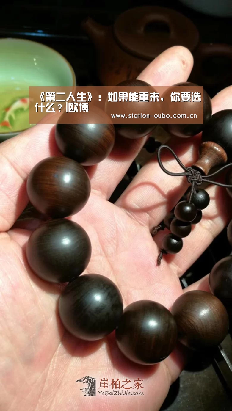 《第二人生》:如果能重来,你要选什么?|欧博(图1) 欧博官网