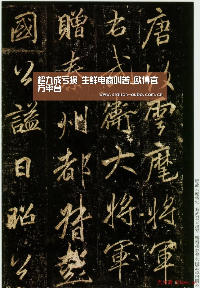 超九成亏损 生鲜电商叫苦_欧博官方平台(图2) 欧博登录app