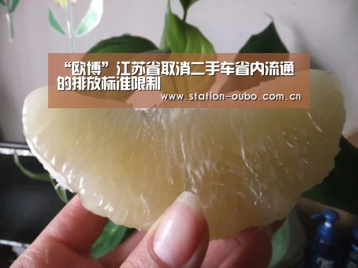 “欧博”江苏省取消二手车省内流通的排放标准限制(图2) 欧博登录app