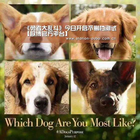 欧博