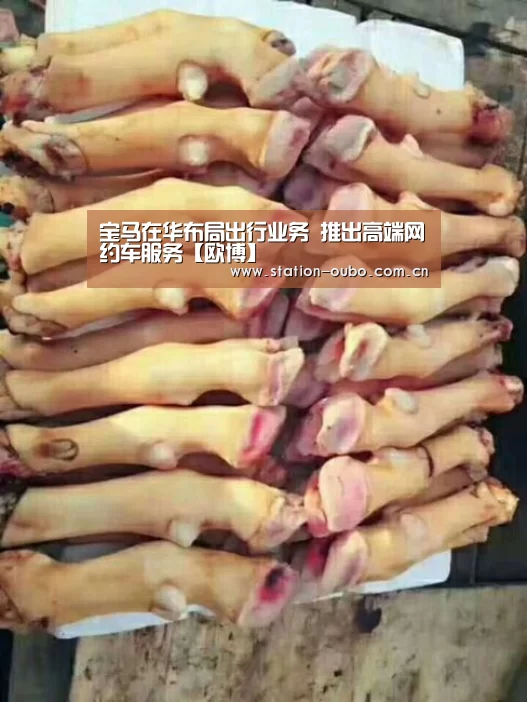 宝马在华布局出行业务 推出高端网约车服务【欧博】(图1) 欧博
