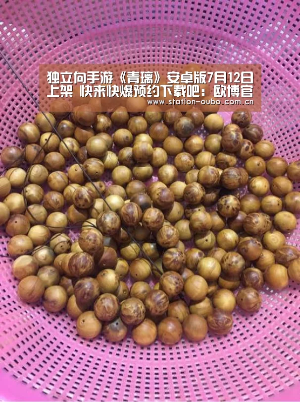 欧博