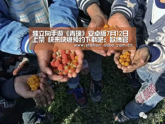 欧博